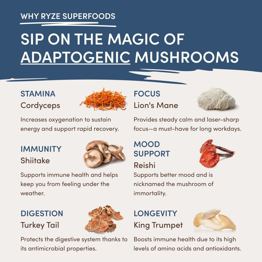 RYZE Nighttime Mushroom Cocoa Starter Bag - 7OT5