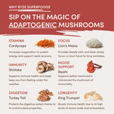 RYZE Mushroom Chai Starter Bag - M84T