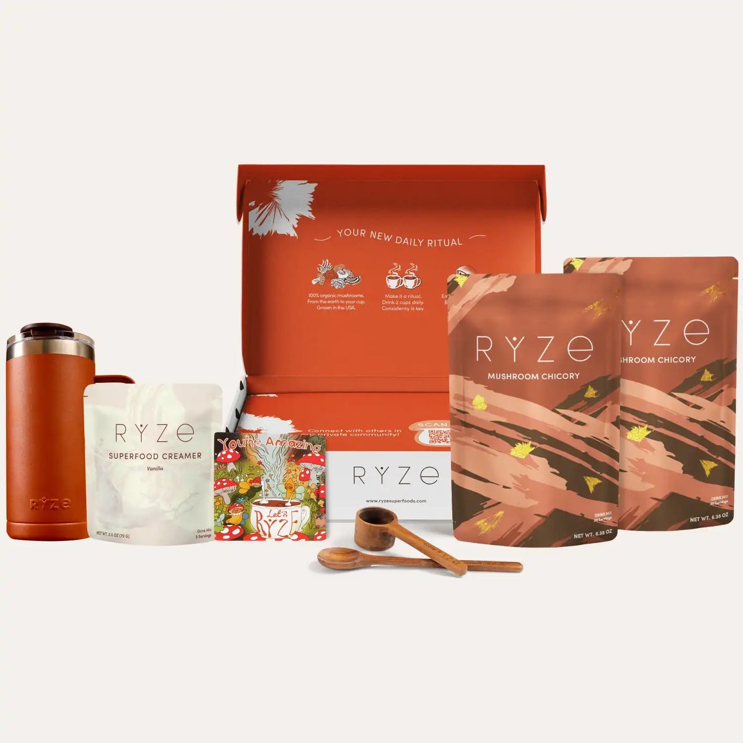 Mushroom Chicory Starter Kit (60 servings) - 4ZW8