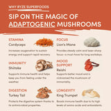 Mushroom Coffee (1 pack - 30 Servings) - AZR9