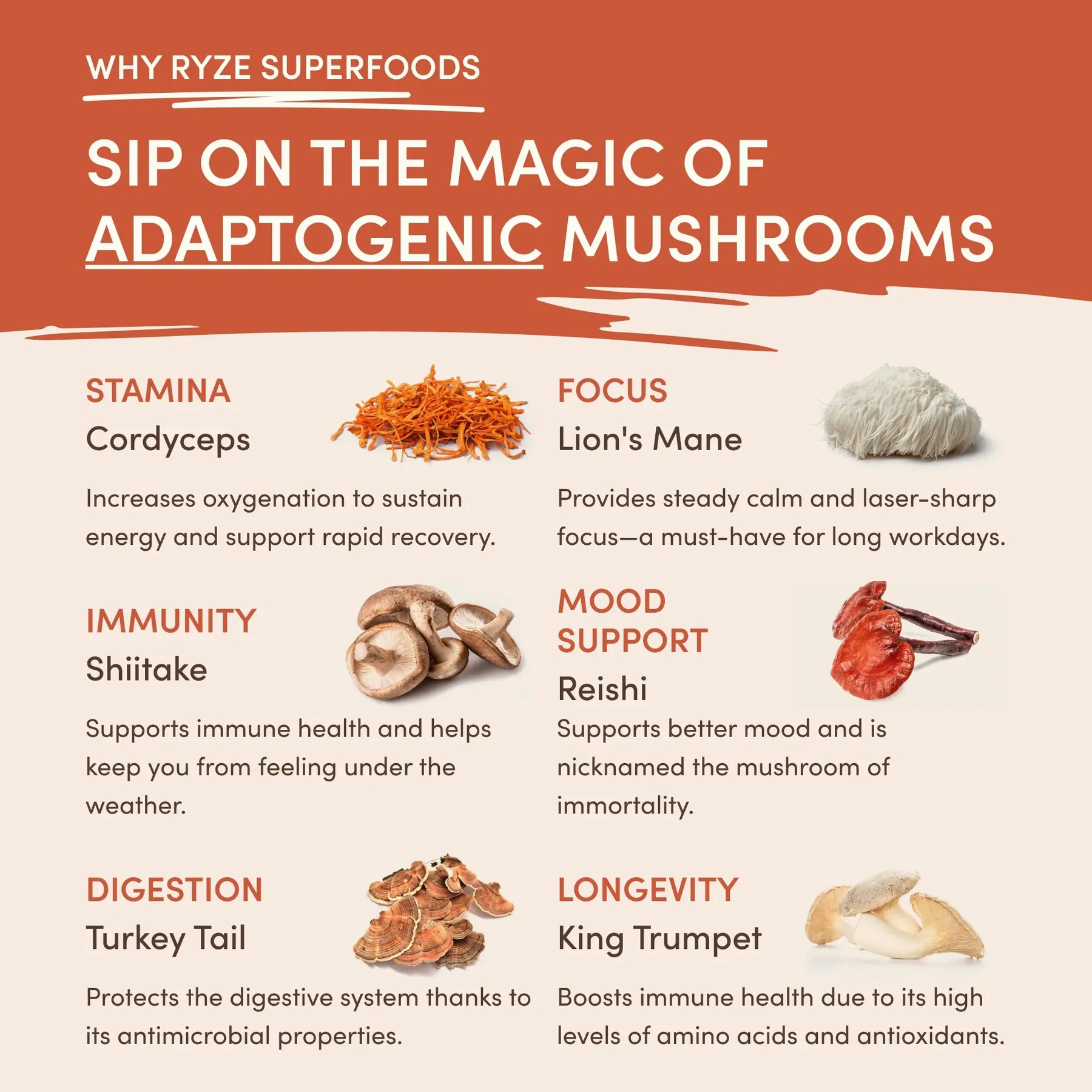 Mushroom Coffee (1 pack - 30 Servings) - AZR9