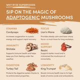 Mushroom Overnight Oats 14 Servings - 09AK