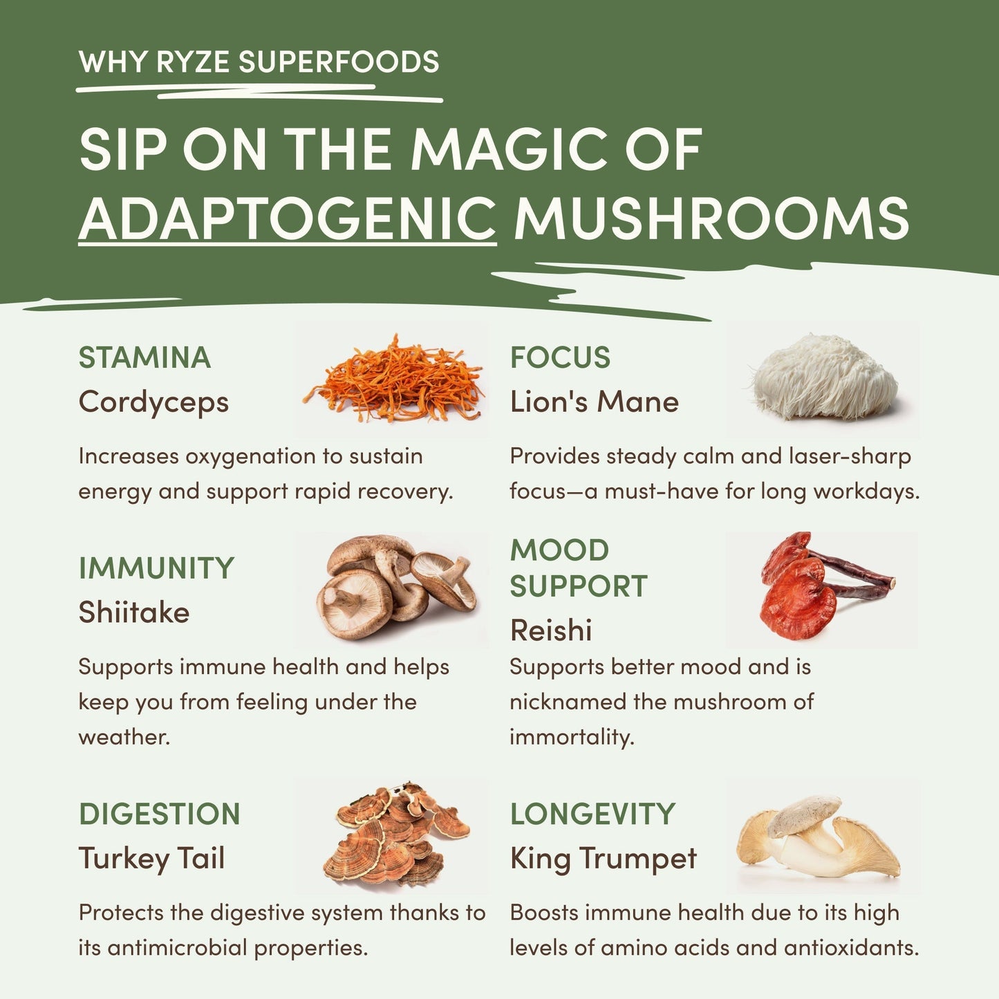 Mushroom Matcha (1 Pack - 30 Servings) - C5BM
