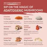 Mushroom Chai (1 Pack - 20 Servings) - JVO9