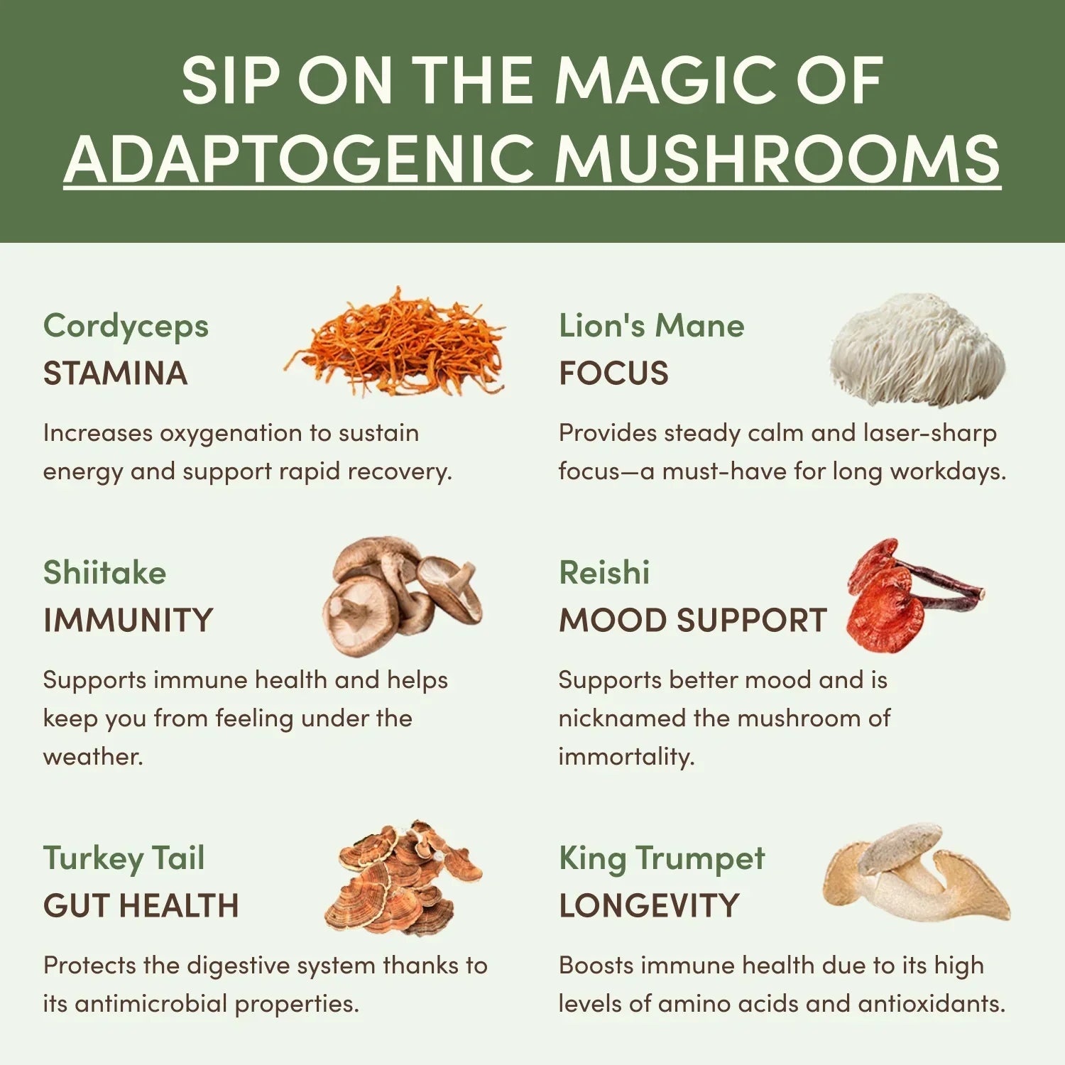 Mushroom Matcha Starter Kit (60 Servings) - OQO0