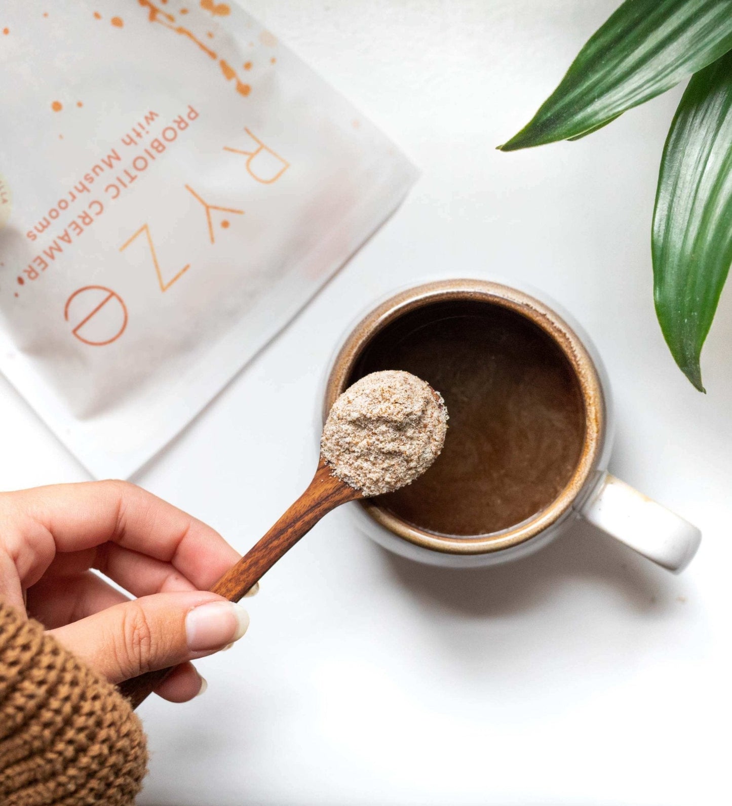 Probiotic Creamer: 30 Servings - VBHR