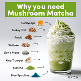 RYZE Organic Mushroom Matcha Starter Kit (60 servings) - K47B