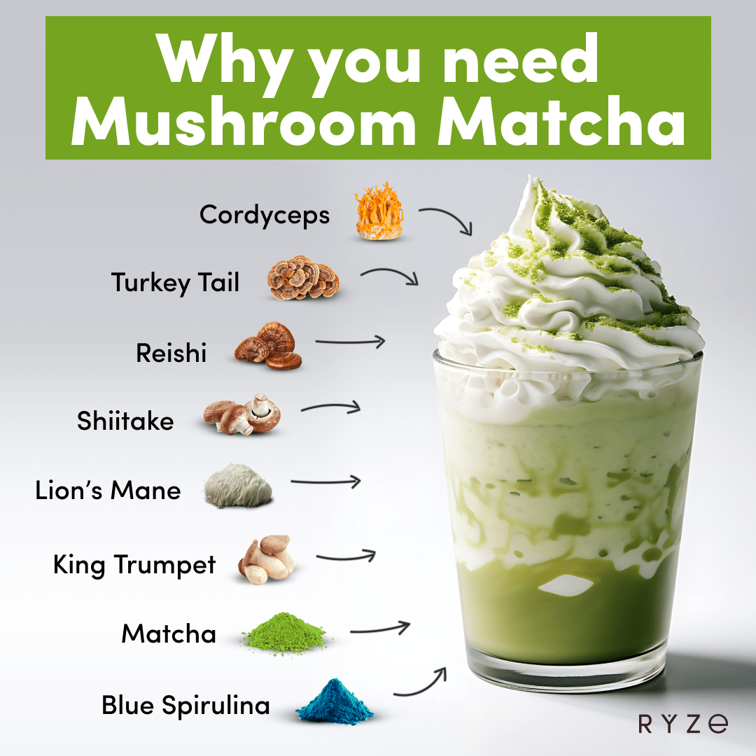 RYZE Organic Mushroom Matcha Starter Kit (60 servings) - K47B